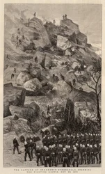 Die Eroberung von Sekukunis Festung, Sturm auf den Fighting Koppie, 28. November 1879